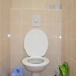 Domek alpejski V Karlove *
